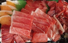 박가참치