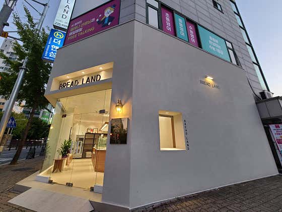 브래드랜드 사진