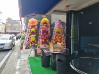 전이 피어나