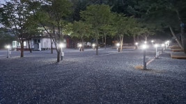법흥계곡 숲속의 아침 오토캠핑장