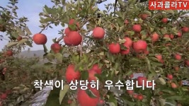 참된농부가사과농장