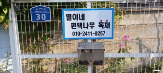 별이네 편백나무 독채