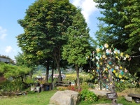 농가맛집토요