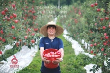 참된농부가사과농장