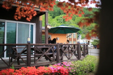 대관령로뎀나무펜션