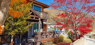 대관령로뎀나무펜션