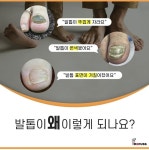 레푸스 부평cgv점