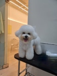 아뜰리에 몽