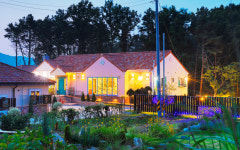 트리피아 더에코