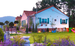 트리피아 더에코