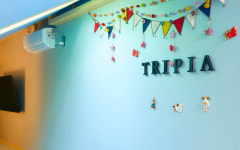 트리피아 더에코