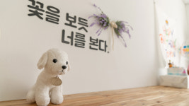 평생사랑해줄개 & 바다 펜션