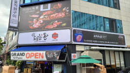 도도한돈