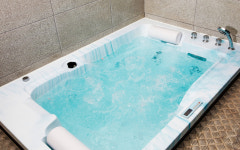 트리피아 더에코