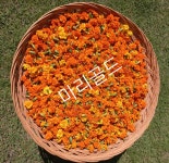지리산건강마을