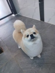 견생스타일