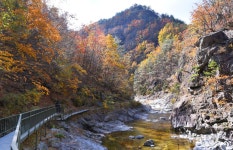 덕풍계곡캠핑장