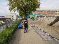 마중골알밤체험농장