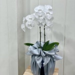 수림화원