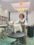 그루밍캐나다
