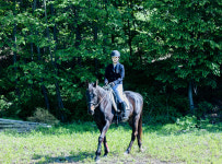 인덕원승마스쿨