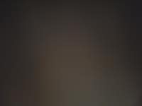 풍년정육점식당