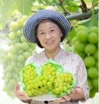 낭구농장