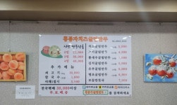 홍봉자치즈굴림만두