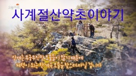 사계절산약초이야기