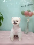 THE예쁘개