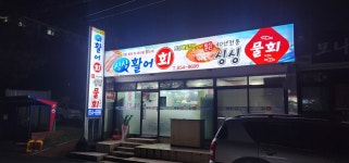 싱싱활어회