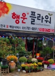 행운플라워