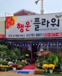 행운플라워