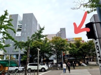 상가부동산공인중개사사무소