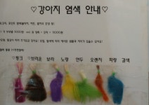 복이애견샵