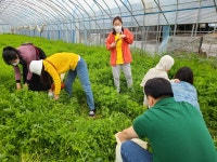 한강노을빛휴양체험마을싱싱미나리