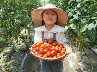 장마루토마토농장