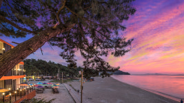 해피트리가족호텔 고사포점