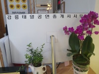 강릉태일공인중개사사무소