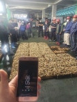홍게랑대게랑 본점&호성이골뱅이 부산점