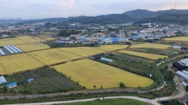 더행복매화동공인중개사사무소