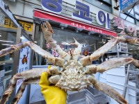 대성수산 대게직판점 부산화명점