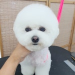 영하개