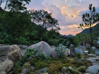 NAVER検索結果の写真 3