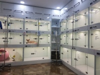 웰동물메디컬센터