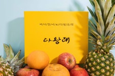 다왕래