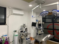 웰동물메디컬센터