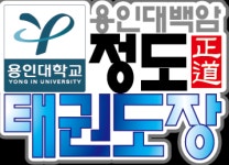 용인대백암정도태권도장