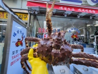 대성수산 대게직판점 부산화명점