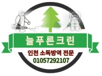 늘푸른크린
